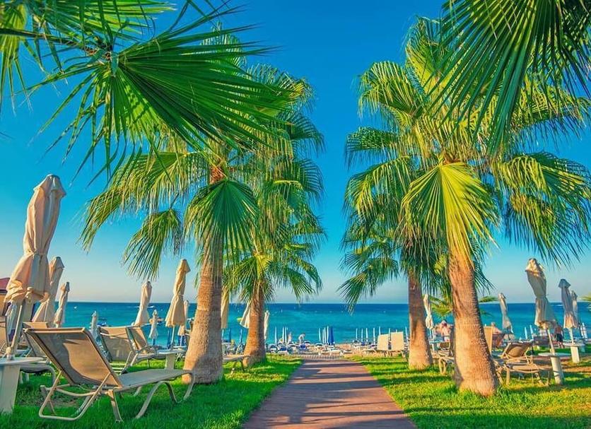 Bãi biển Ảnh