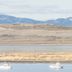 Khác