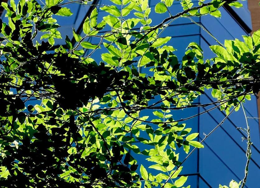 Cảnh ngoài trời Ảnh