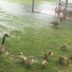 Khác