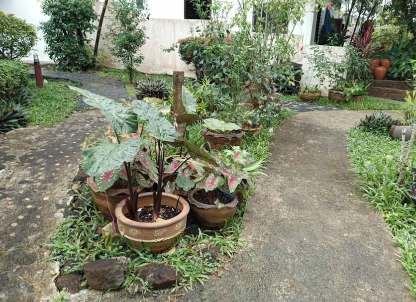Cảnh ngoài trời Ảnh