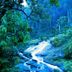 Cảnh ngoài trời