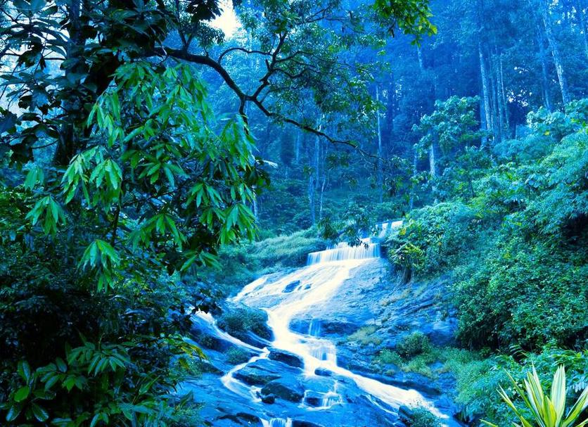 Cảnh ngoài trời Ảnh