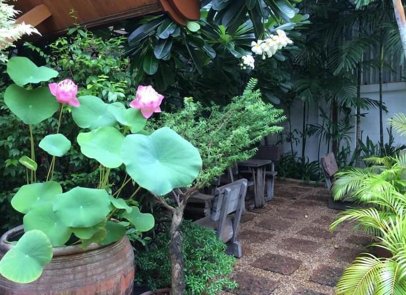 Cảnh ngoài trời Ảnh