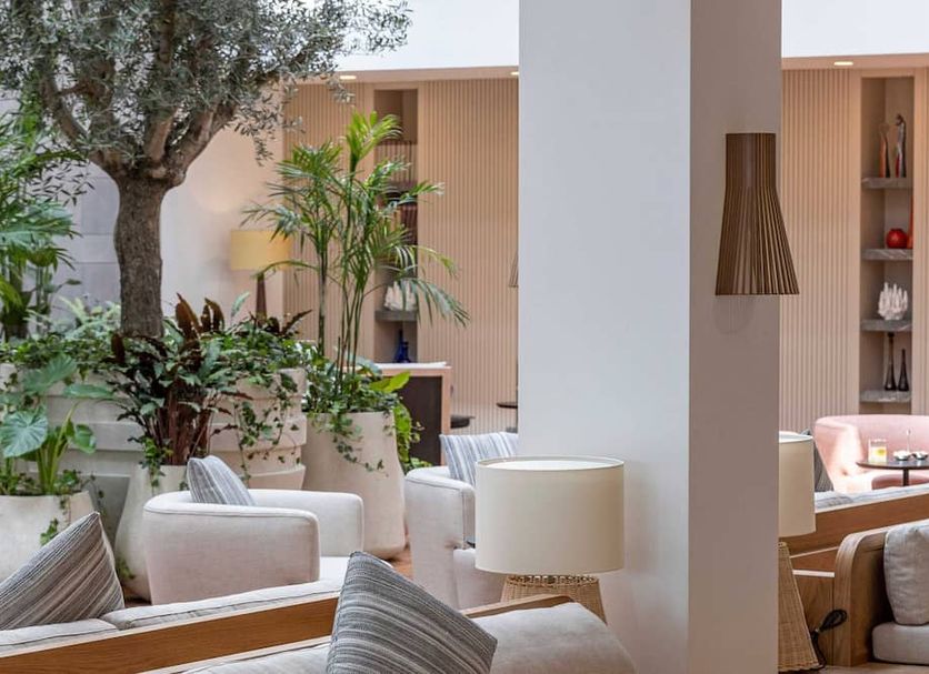 Lounge Ảnh
