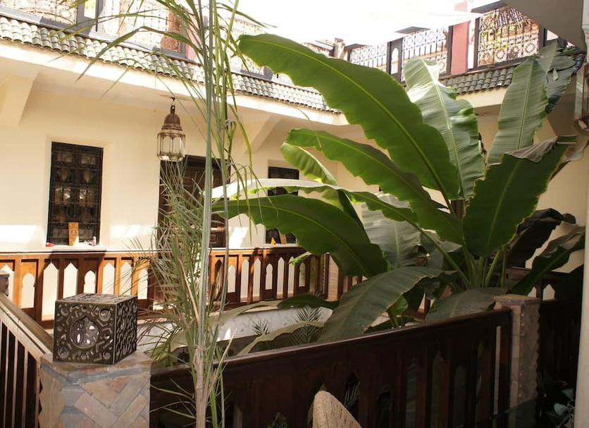 Cảnh ngoài trời Ảnh