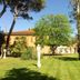 Cảnh ngoài trời