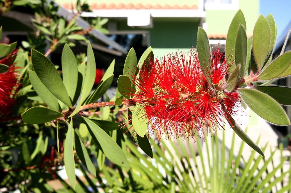 Cảnh ngoài trời