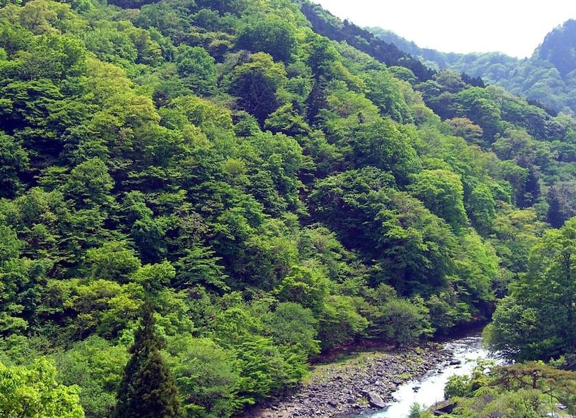 Khác Ảnh