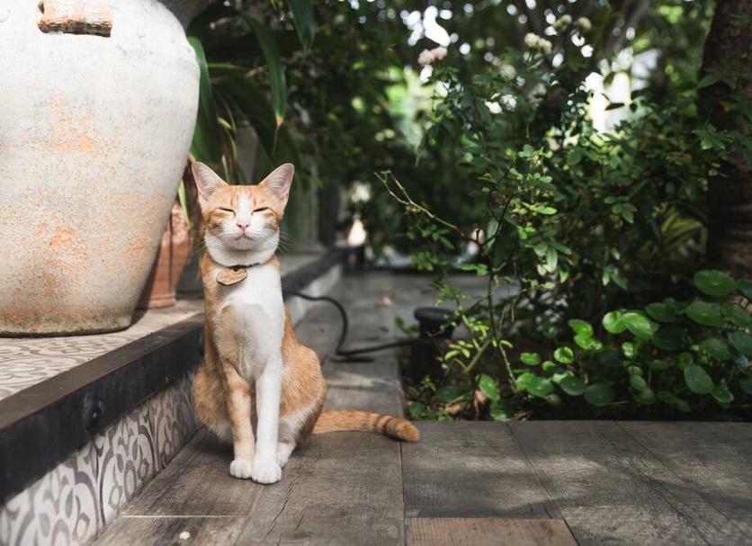 Cảnh ngoài trời Ảnh