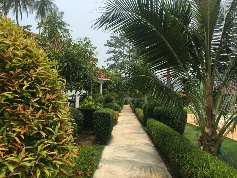Cảnh ngoài trời