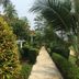 Cảnh ngoài trời