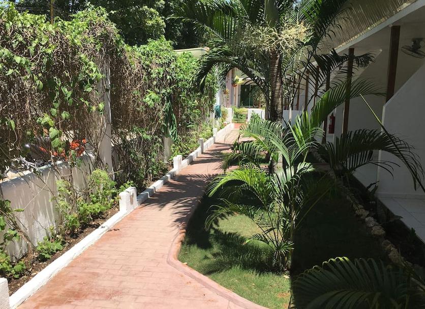 Cảnh ngoài trời Ảnh