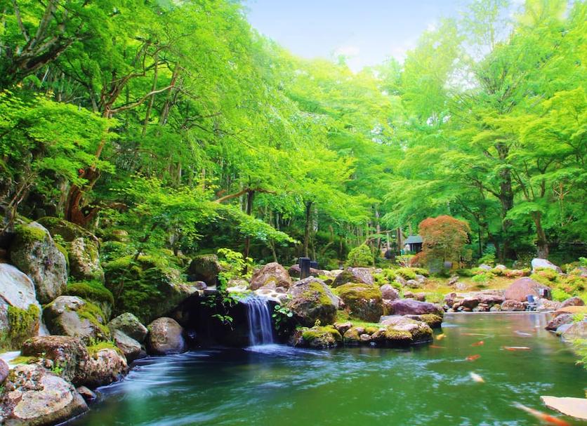 Cảnh ngoài trời Ảnh