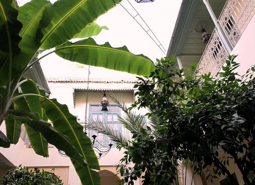 Cảnh ngoài trời Ảnh