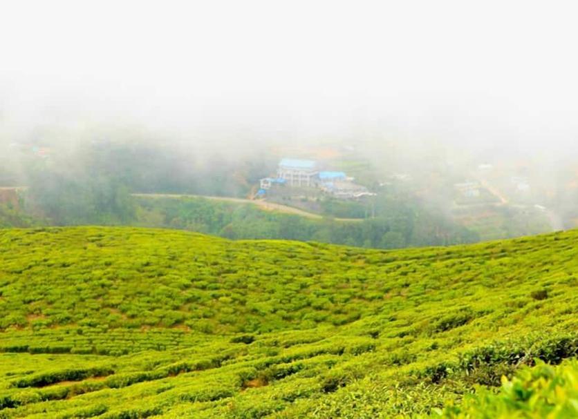 Cảnh ngoài trời Ảnh