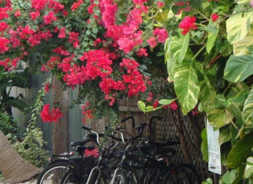 Hotel amenity Ảnh