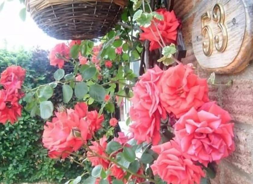 Cảnh ngoài trời Ảnh