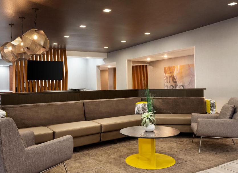 Lounge Ảnh