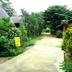 Cảnh ngoài trời
