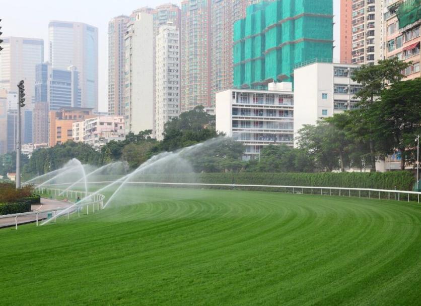 Cảnh ngoài trời Ảnh