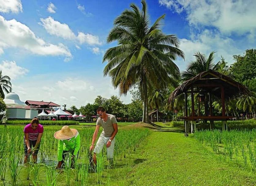 Khác Ảnh