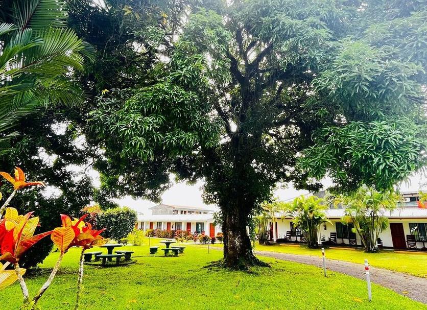 Cảnh ngoài trời Ảnh