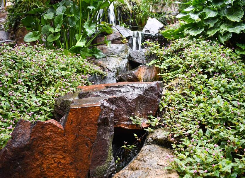 Cảnh ngoài trời Ảnh