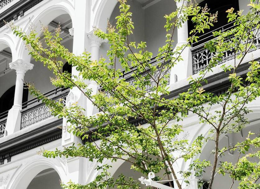 Cảnh ngoài trời Ảnh