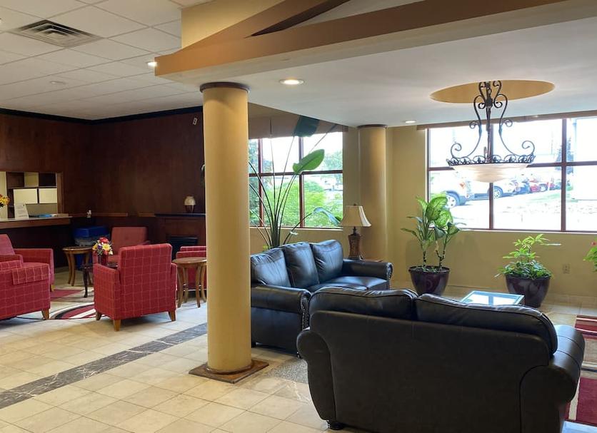 Lounge Ảnh