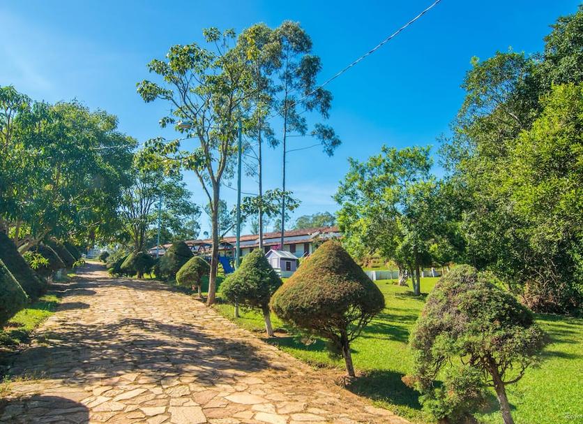 Cảnh ngoài trời Ảnh