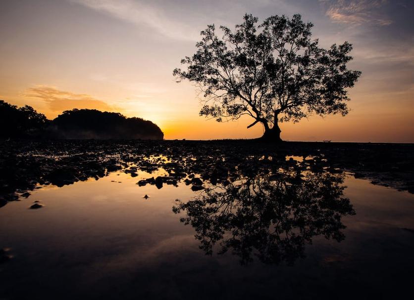 Cảnh ngoài trời Ảnh