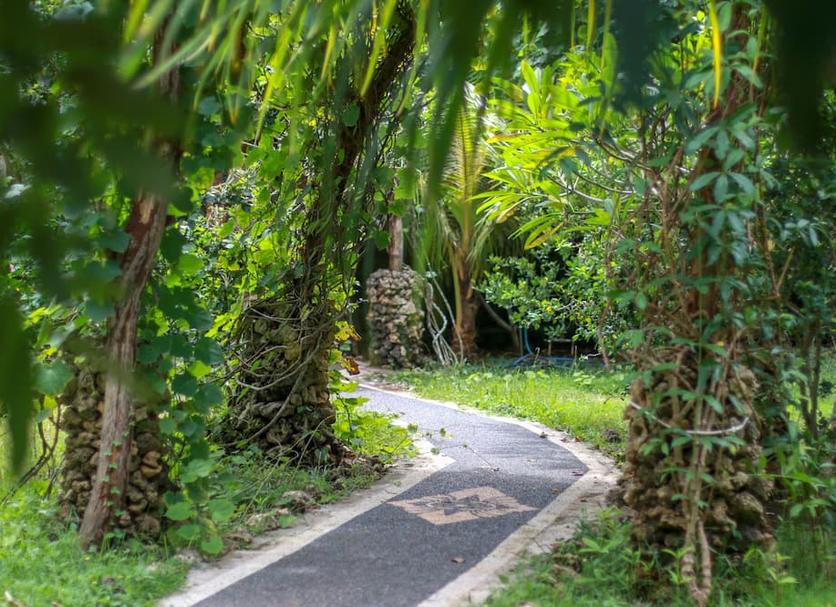 Cảnh ngoài trời Ảnh