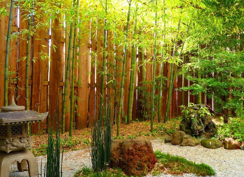 Cảnh ngoài trời Ảnh