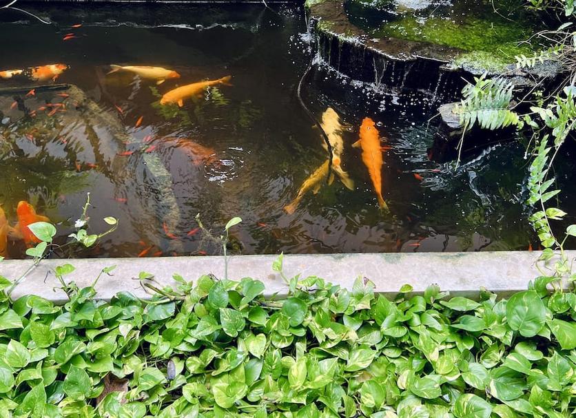 Cảnh ngoài trời Ảnh