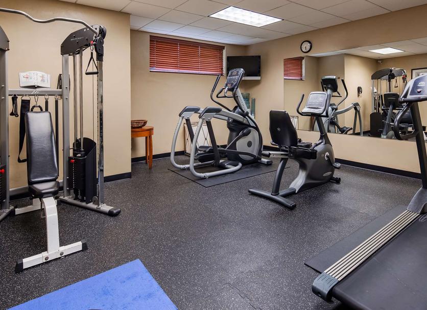 Gym Ảnh