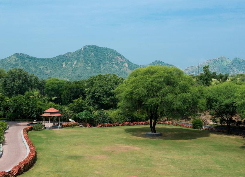 Cảnh ngoài trời Ảnh