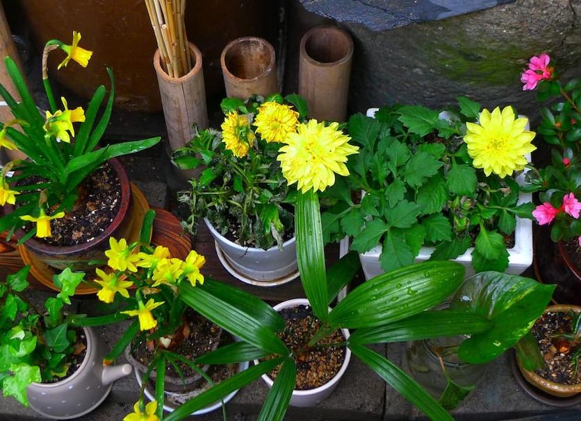 Cảnh ngoài trời Ảnh