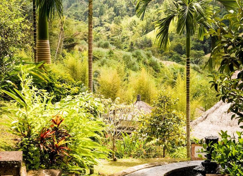 Cảnh ngoài trời Ảnh