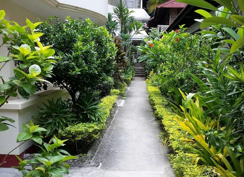 Cảnh ngoài trời Ảnh
