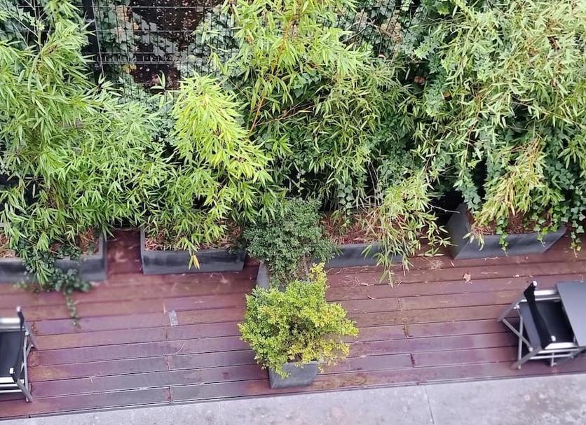 Cảnh ngoài trời Ảnh