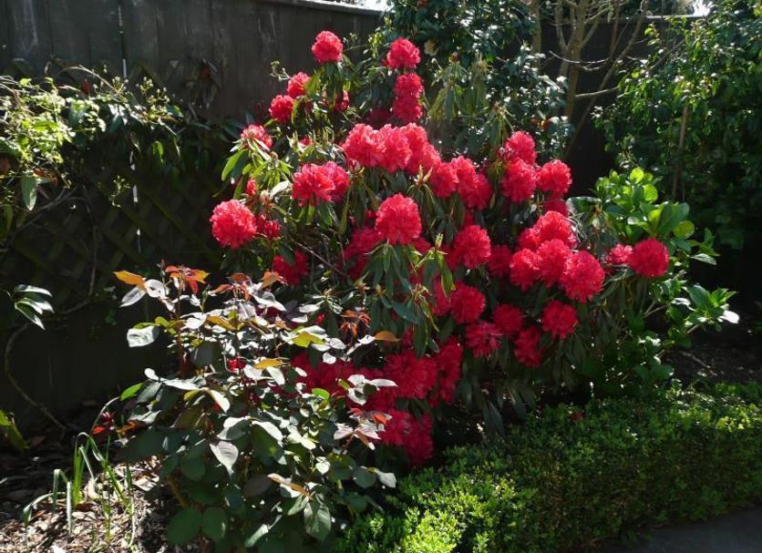 Cảnh ngoài trời Ảnh