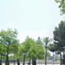 Cảnh ngoài trời
