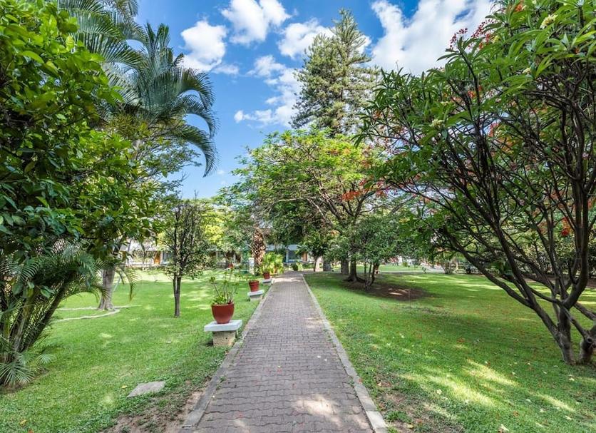 Cảnh ngoài trời Ảnh