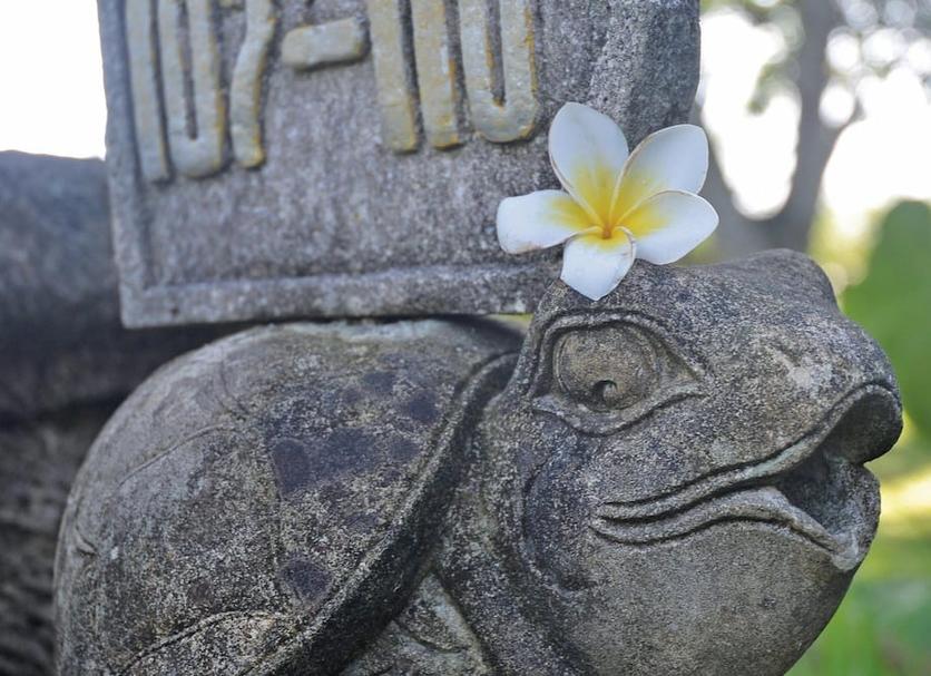Tiện nghi trong phòng Ảnh