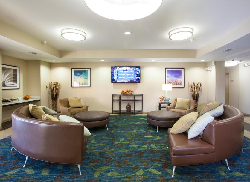 Lounge Ảnh
