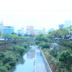 Cảnh ngoài trời