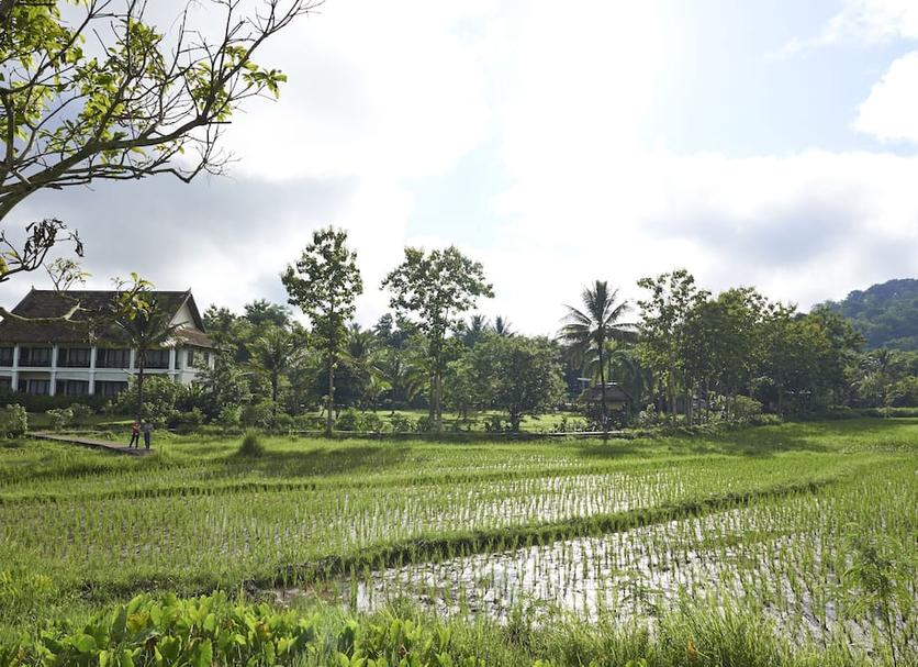 Cảnh ngoài trời Ảnh