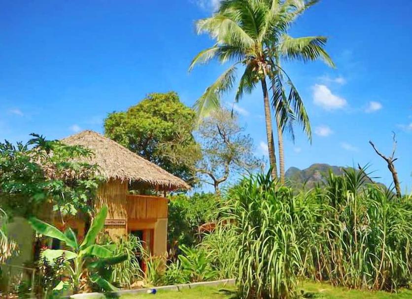 Cảnh ngoài trời Ảnh