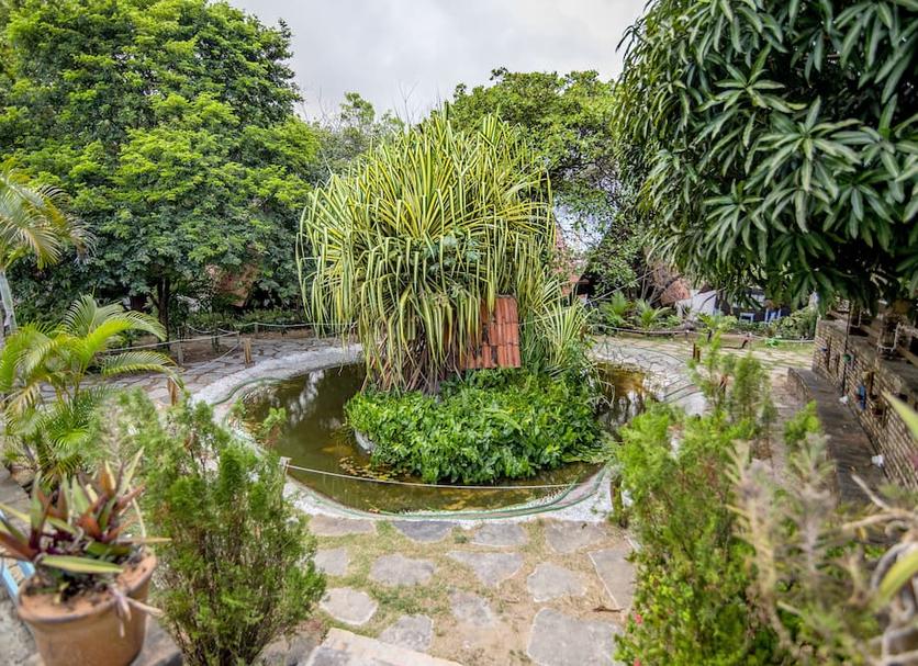 Cảnh ngoài trời Ảnh